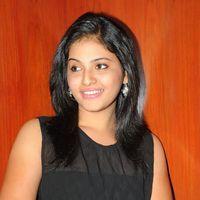 Anjali at Journey Audio Launch Pictures | Picture 127209